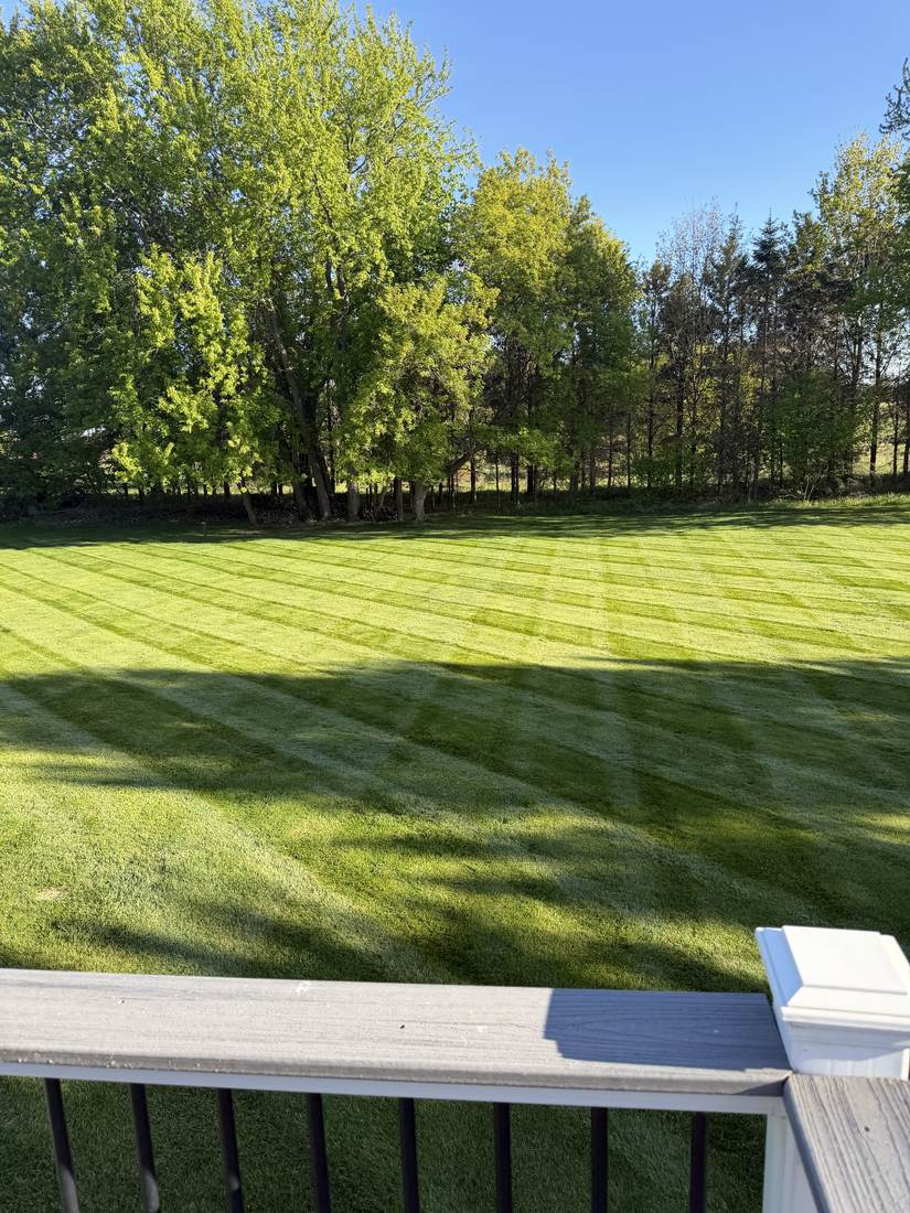 Freshly mowed lawn with striped cutting pattern