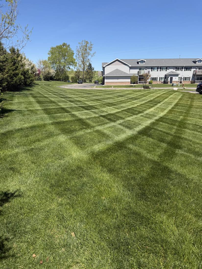 Freshly mowed lawn, wide view