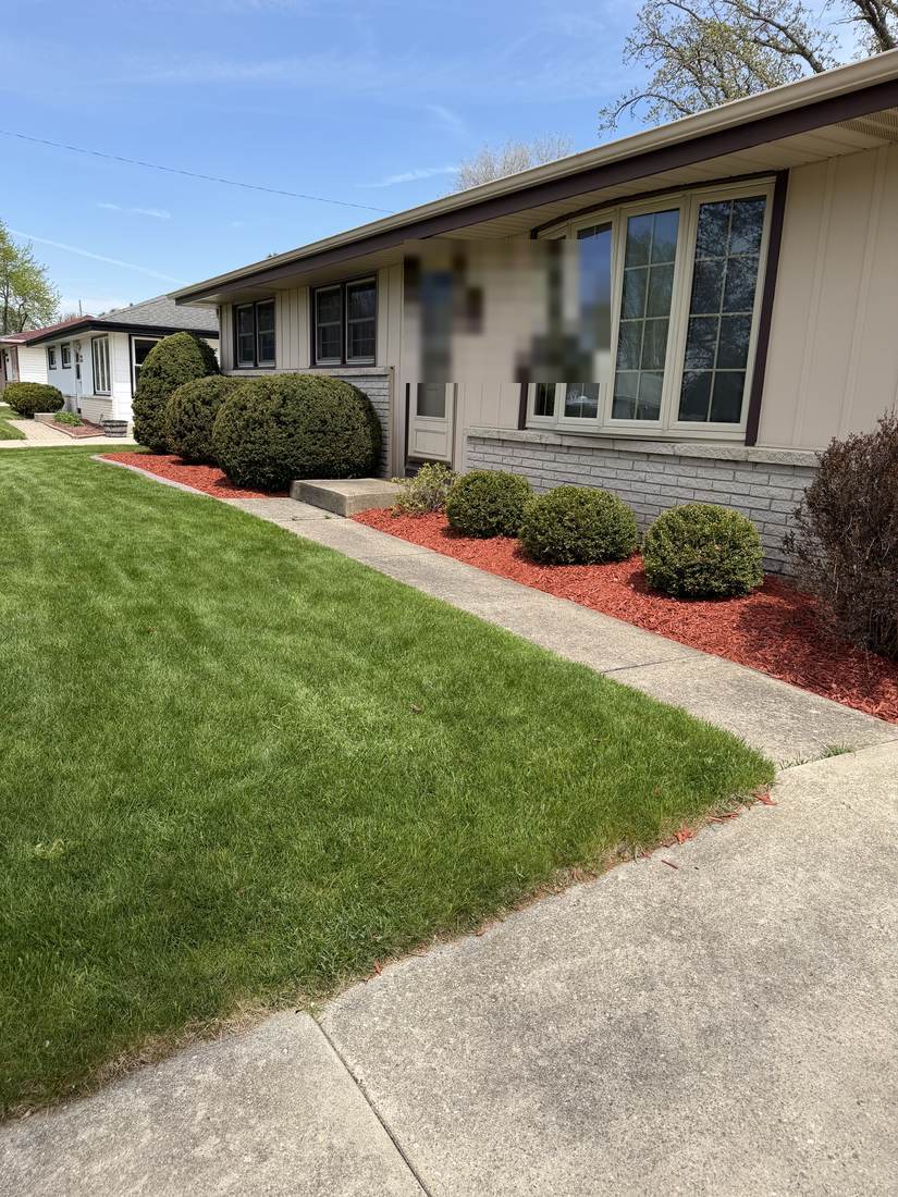 Fresh mulch bed along house foundation