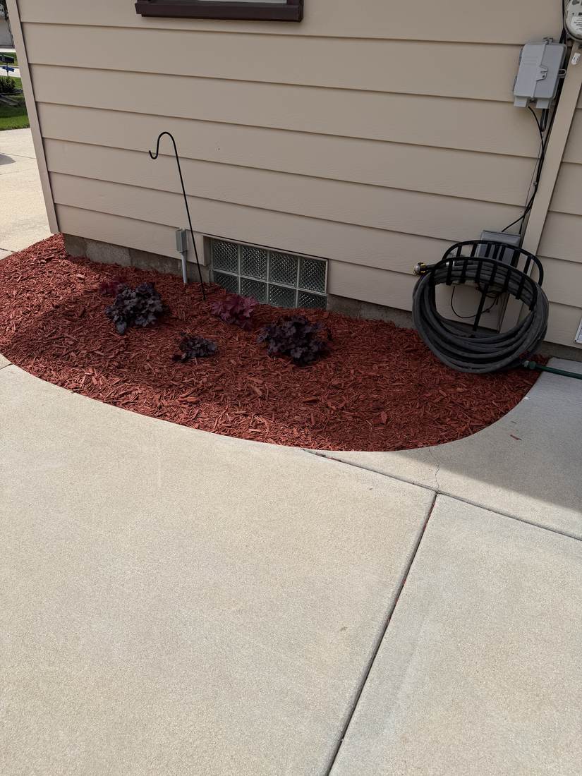 Newly installed mulch bed detail