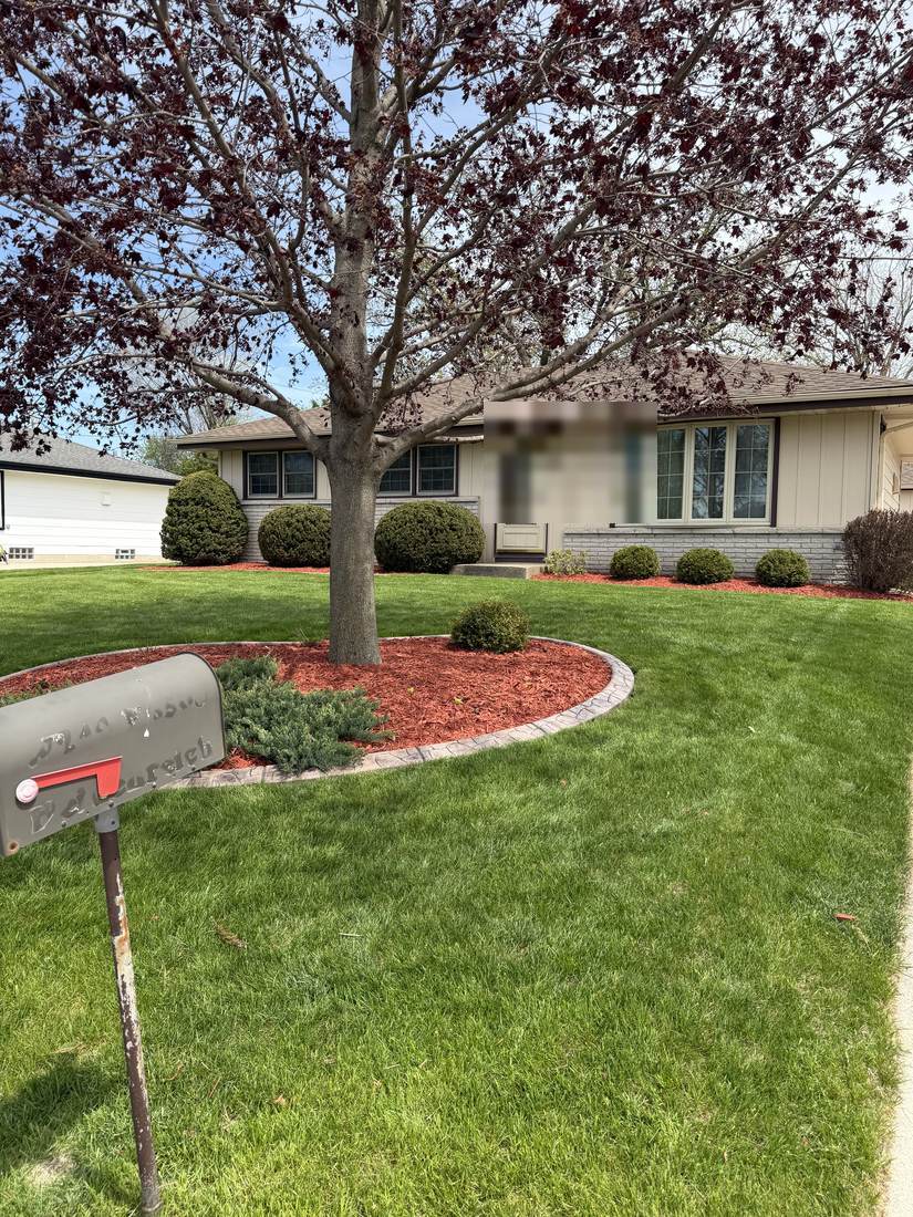 Mulch bed around tree with fresh edging