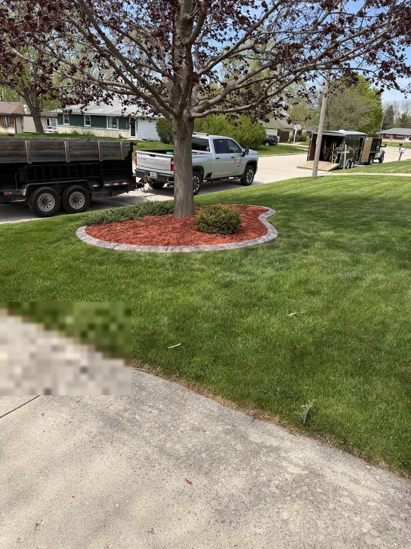 Mulch bed around tree, front yard
