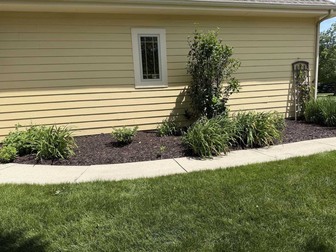 Mulch bed along landscaping