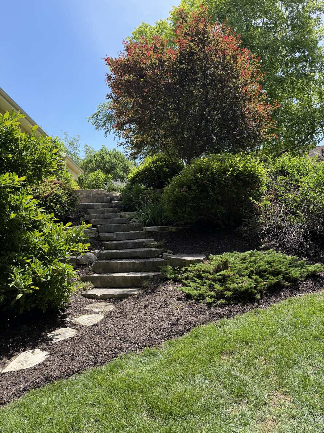 Mulch bed detail around tree ring