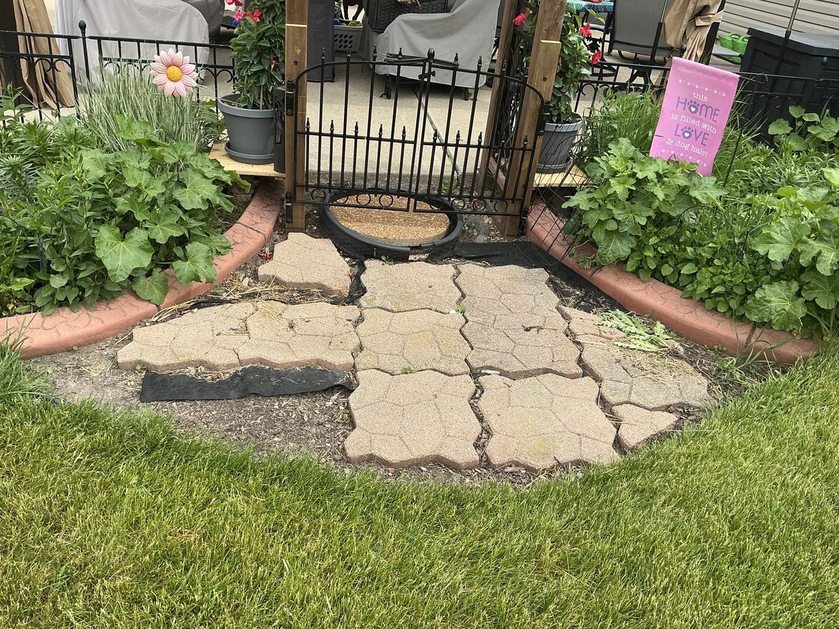 Stepping stones and bare soil at the arbor gate, before
