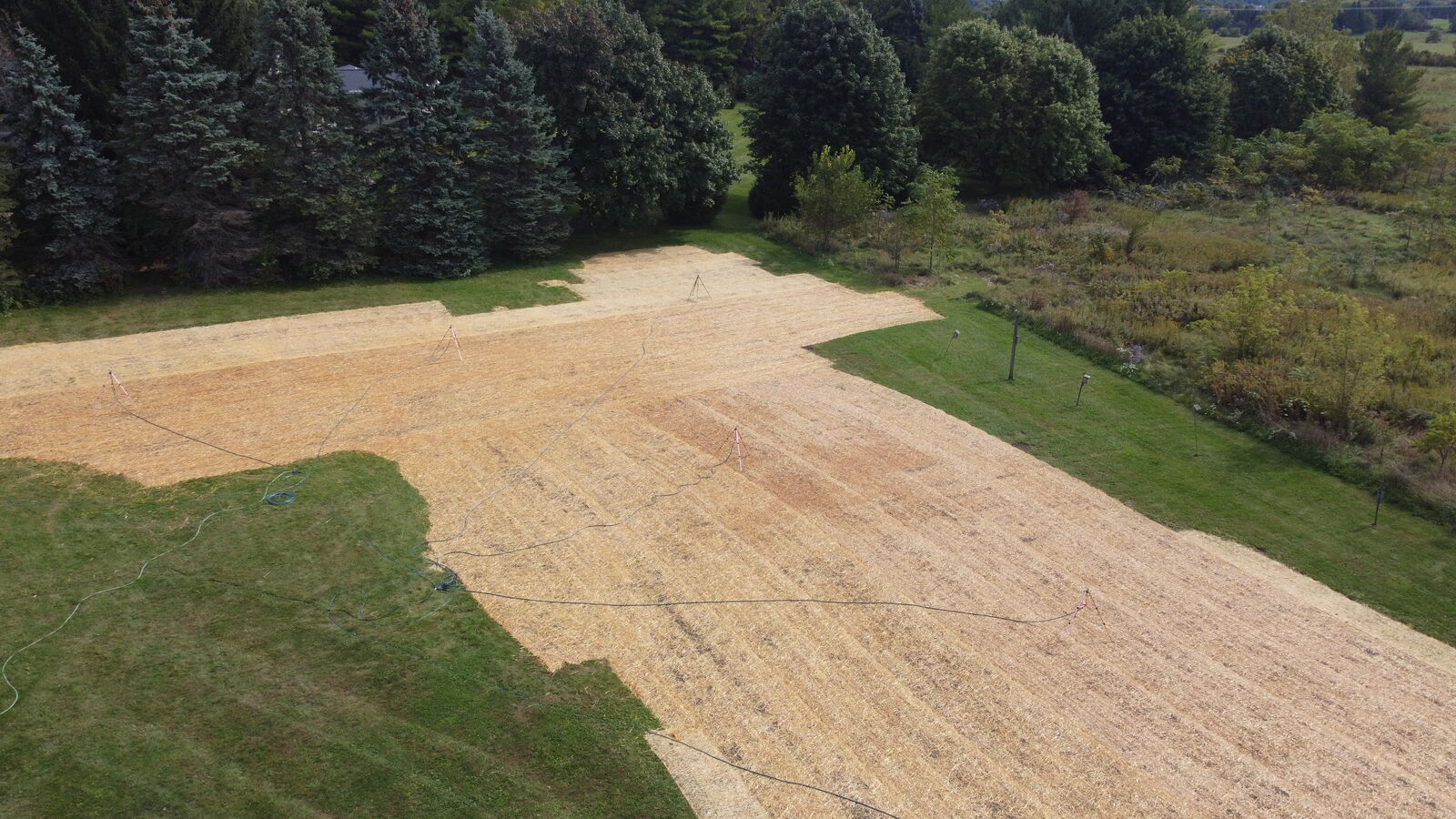 Cleared backyard area leveled, seeded and strawed at the field edge, after