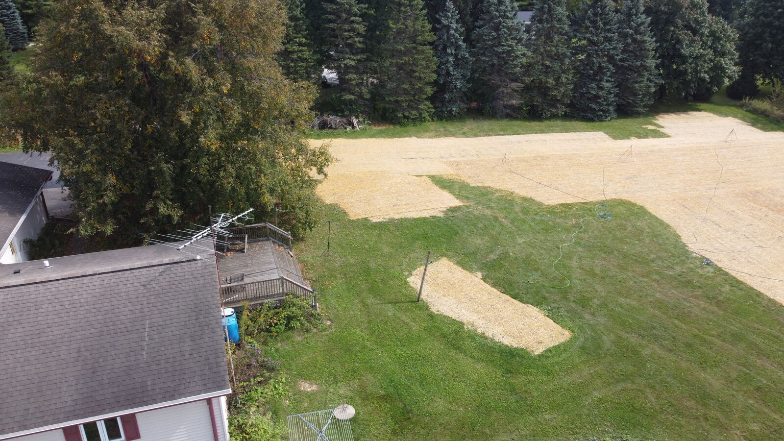 Backyard beside the house cleared, topsoiled and seeded, after