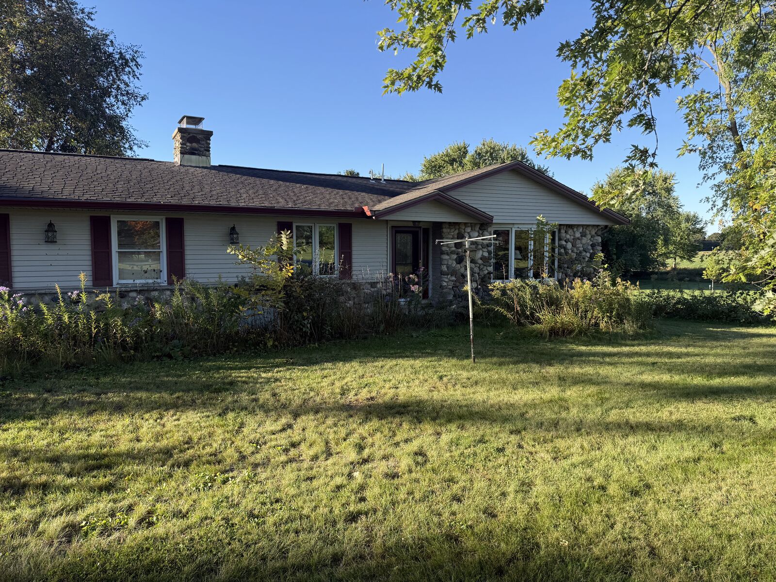 Front yard with overgrown weeds and tall grass along the house, before