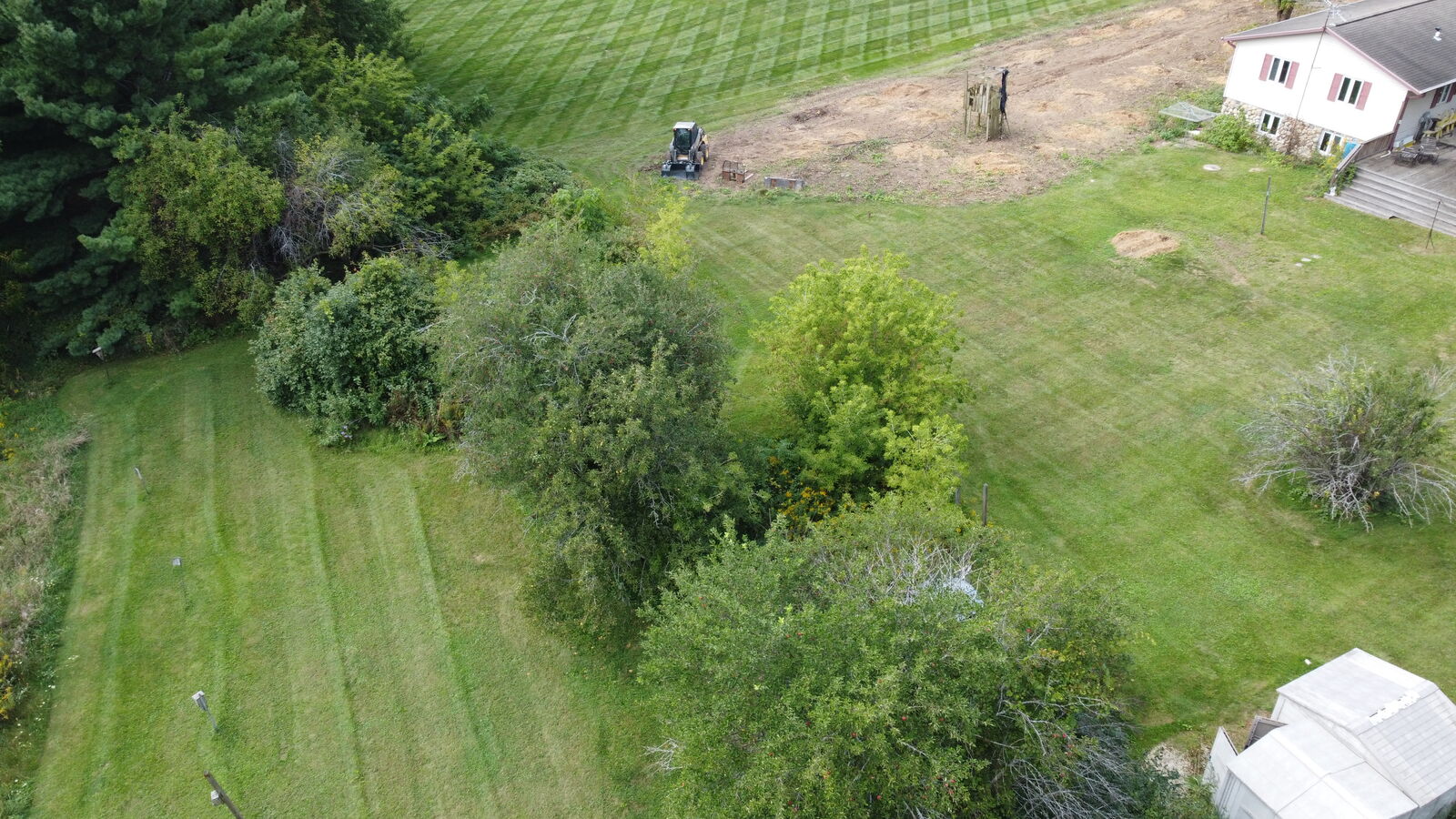 Backyard brush and overgrowth beside the house, before