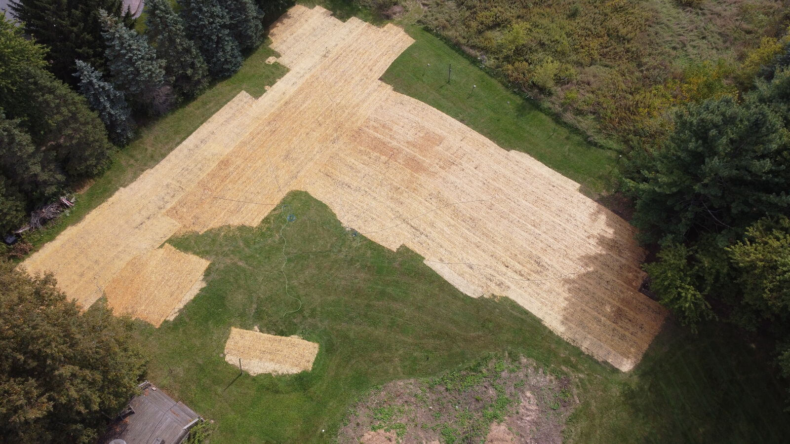 Aerial view of the newly seeded backyard